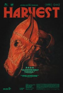 13610344_big