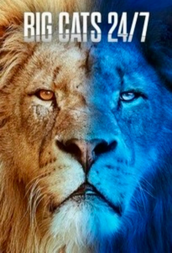 Big Cats 24/7 (2024) Season 2 (Complete) Download