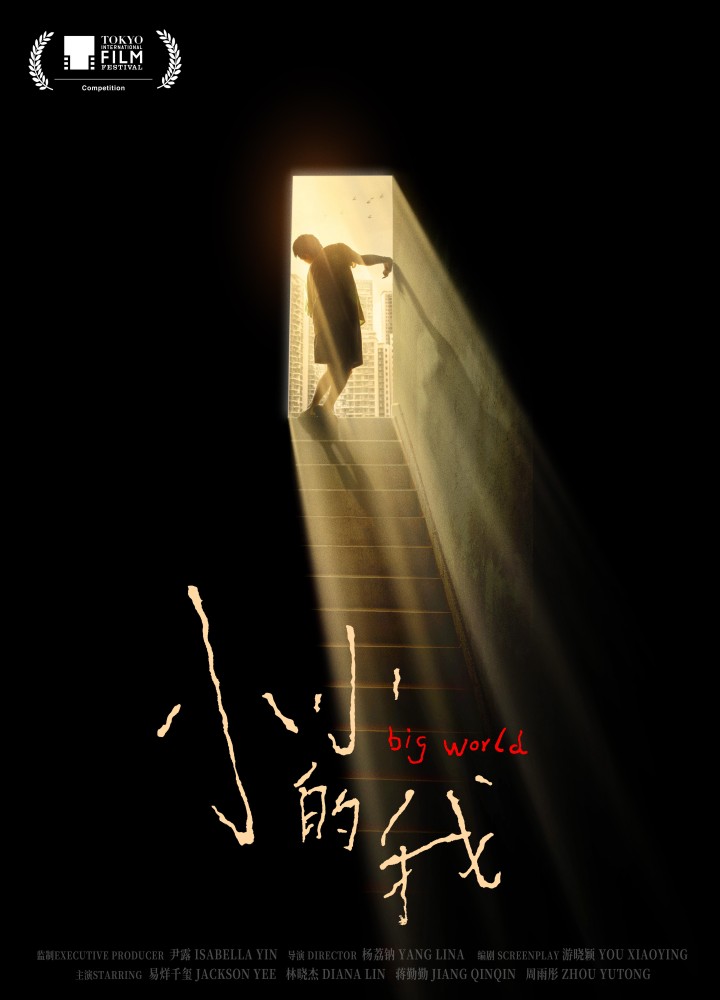 Big World (2024) Chinese Movie Download