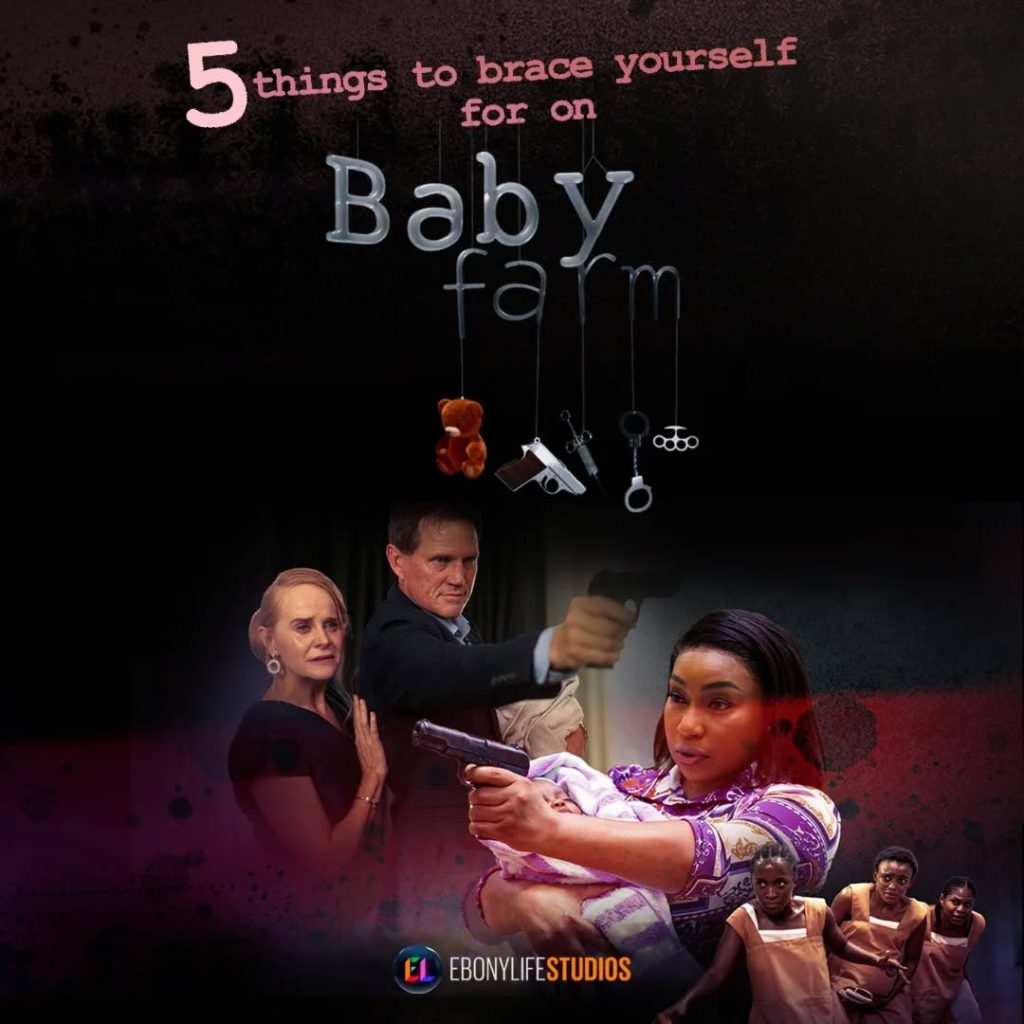 Baby Farm Season 1 (Complete) Download