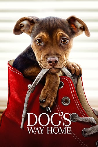 A Dog’s Way Home (2019) Download