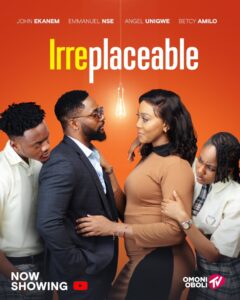 Irreplaceable_Poster